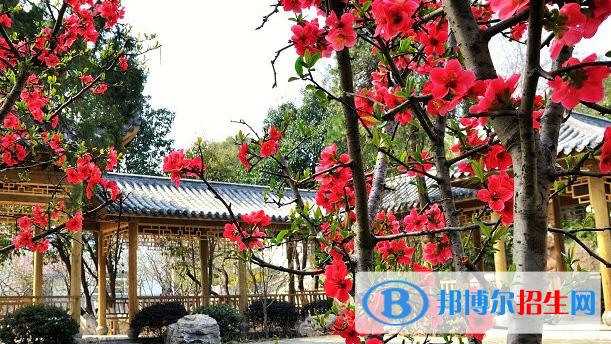 安徽林业职业技术学院是几专