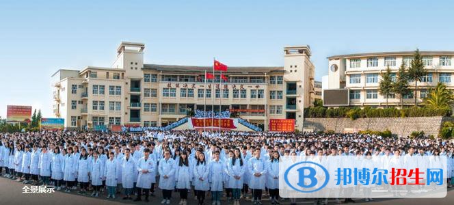 云南新兴职业学院2020年有哪些专业