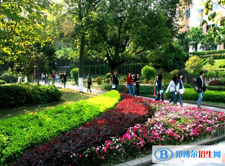 重庆电力高等专科学校地址在哪里