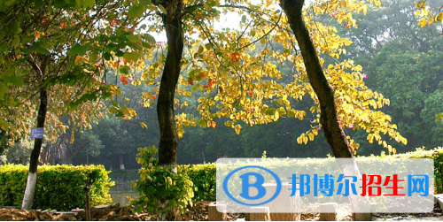 广西民族中等专业学校2020年招生办联系电话