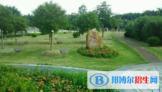 广州体育职业技术学院五年制大专2020年招生录取分数线