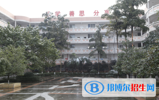 泸州天立国际学校初中部地址在哪里