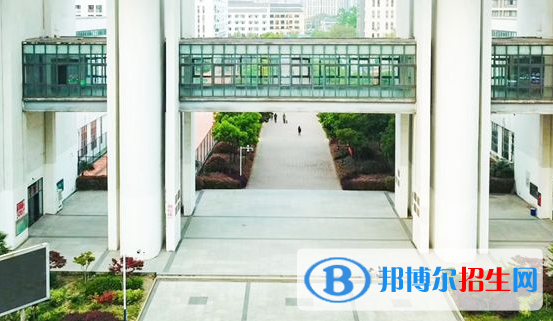 安徽艺术职业学院2020年招生简章