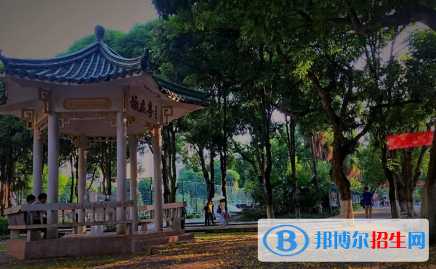 南宁三中国际学校小学部2020年招生办联系电话