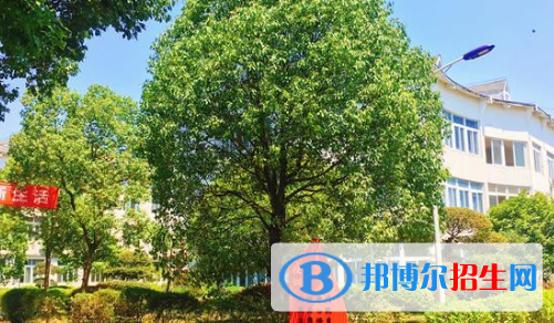 江西枫林涉外经贸职业学院2020年招生简章