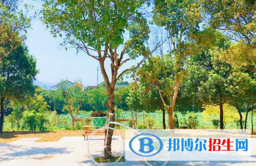 江西枫林涉外经贸职业学院2020年有哪些专业