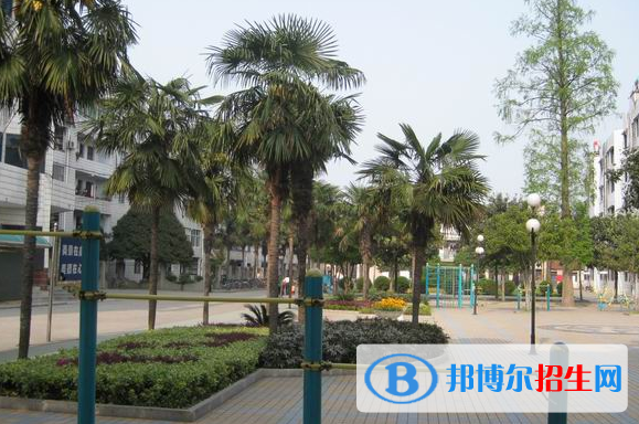 襄城区职业高级中学4