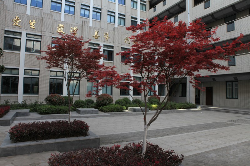 江苏2020年卫校在哪里