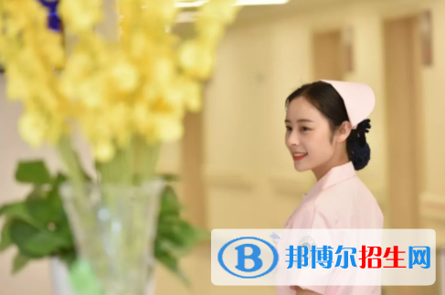 甘肃2020年卫校大专录取分数线