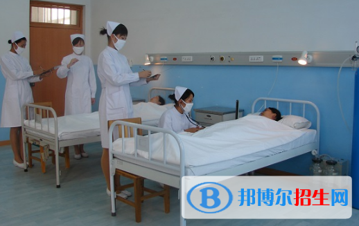 广东2020年哪些高职院校有卫校