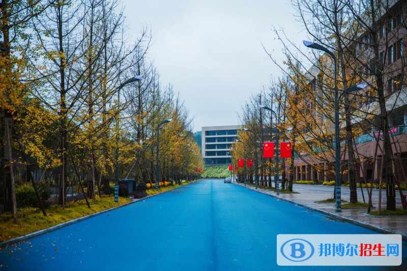 南充科技职业学院2020年有哪些专业