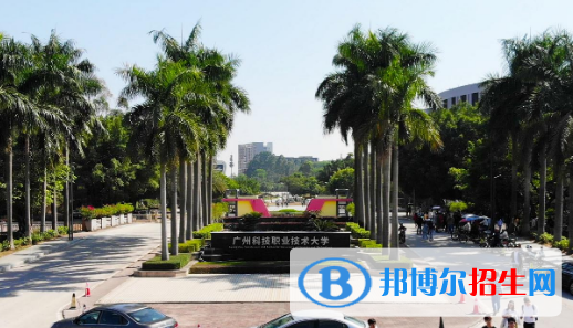 广州科技职业技术大学2020年招生简章