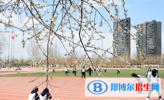 东北育才学校国际小学部2020年招生简章