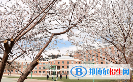 东北育才学校国际小学部2020年招生计划