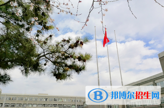 东北育才学校国际小学部2020年学费、收费多少