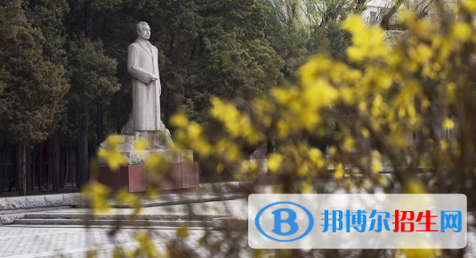 东北育才学校国际小学部2020年报名条件、招生要求、招生对象