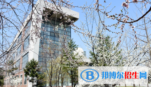 东北育才学校国际小学部地址在哪里