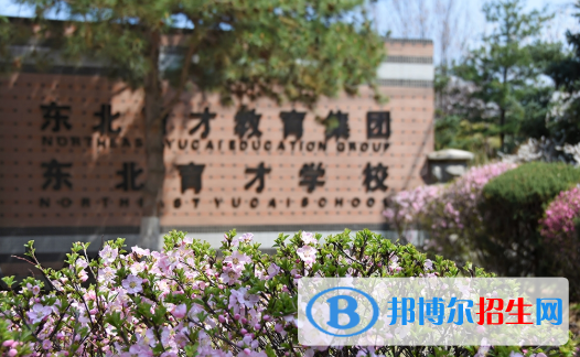 东北育才学校国际小学部网站网址