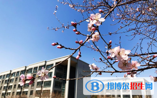 东北育才学校国际小学部怎么样、好不好