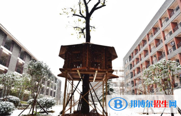 清镇博雅国际实验学校小学部地址在哪里