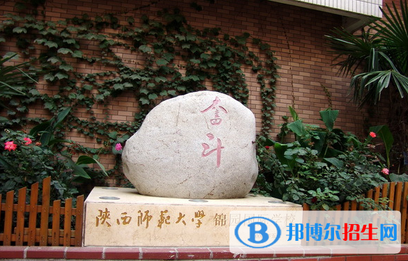 陕西师范大学锦园国际学校小学部2020年招生简章