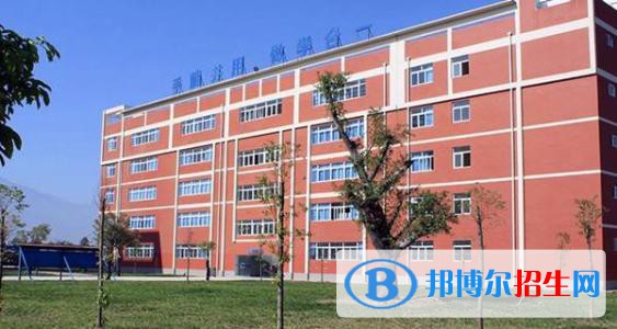 四川应用技术职业学院2020年有哪些专业