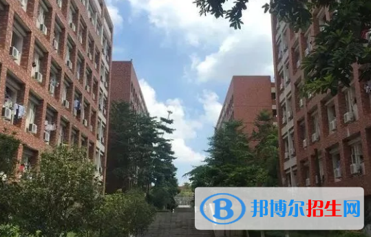 广东理工职业学院2020年招生代码