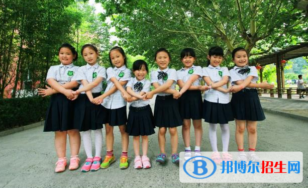 北京私立树人瑞贝学校小学部网站网址