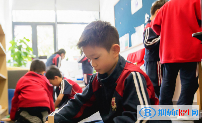 上海德闳学校小学部2020年报名条件、招生要求、招生对象