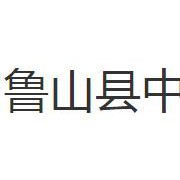 鲁山县中等专业学校