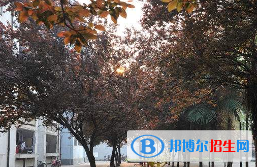 枣阳第二职业高级中学4