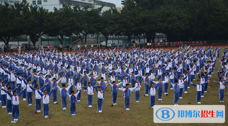 深圳石岩公学学校国际部小学地址在哪里