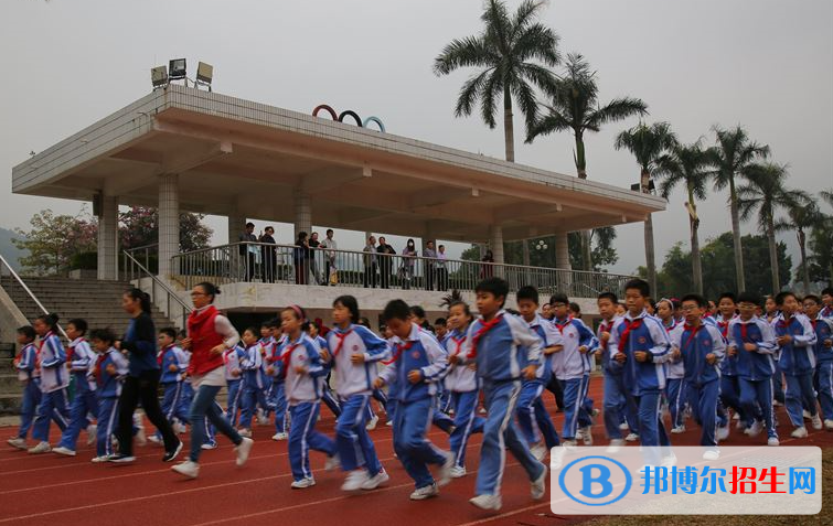 深圳石岩公学学校国际部网站网址