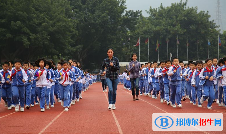 深圳石岩公学学校国际部小学怎么样、好不好