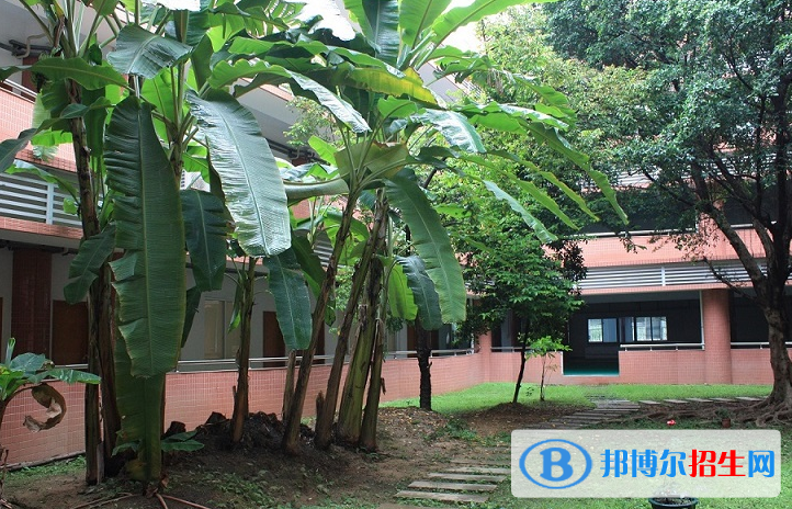 广东日本人学校小学部2020年招生计划