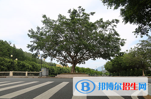  广州城建职业学院2020年招生简章