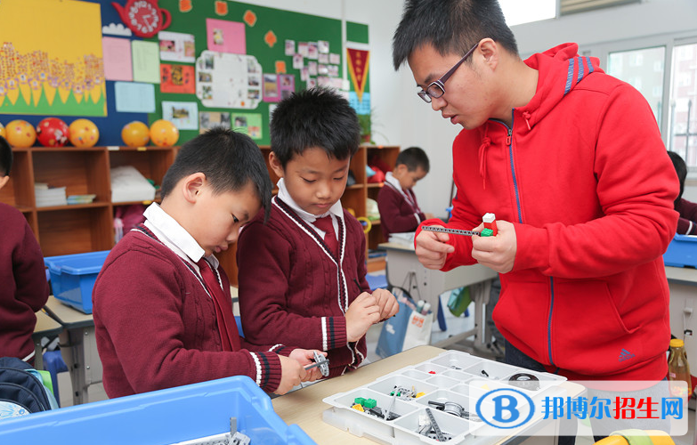 宝睿未来国际小学2020年招生办联系电话