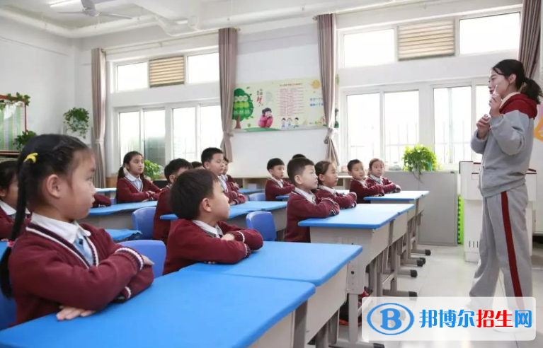 宝睿未来国际小学地址在哪里