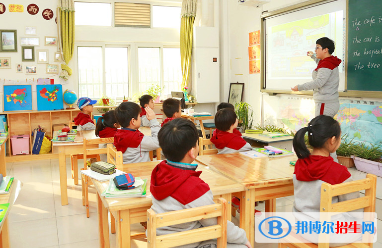 宝睿未来国际小学网站网址