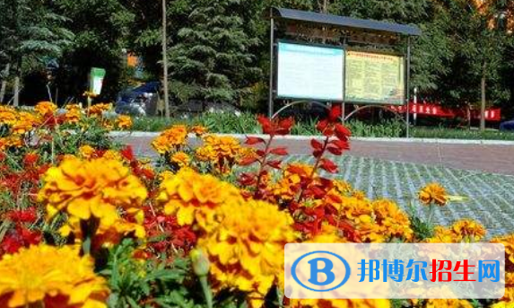 山西运城国际学校小学部2020年招生简章