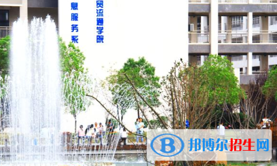 安徽国际商务职业学院2020年报名条件、招生要求、招生对象