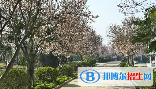 安徽2020年哪个铁路学校最好