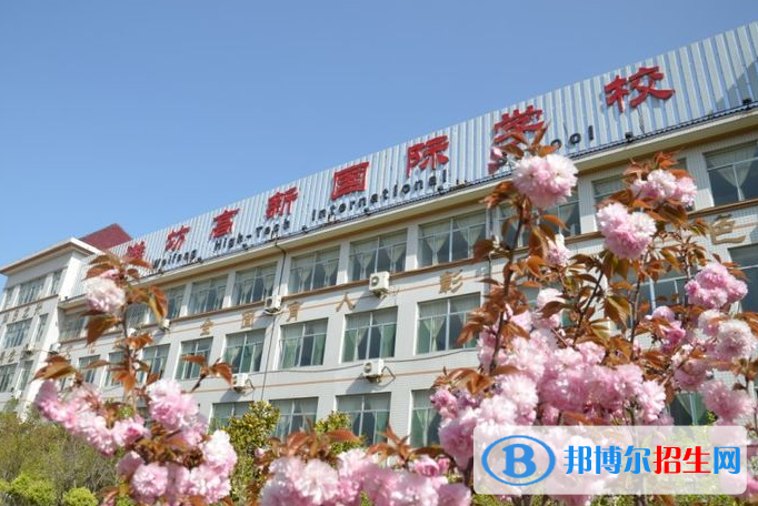潍坊高新国际学校小学部2020年招生计划