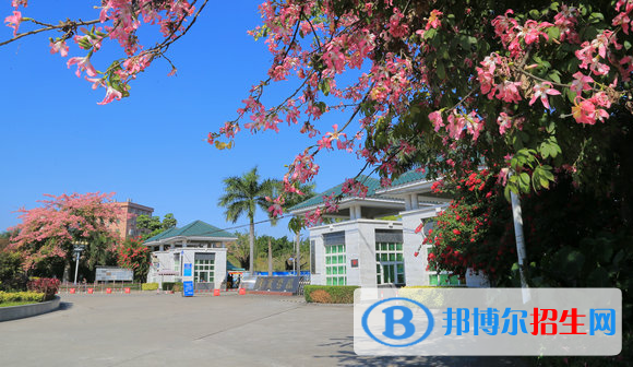 广州华夏职业学院2020年招生简章