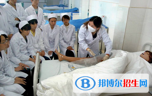 广东2020年卫校读什么专业好
