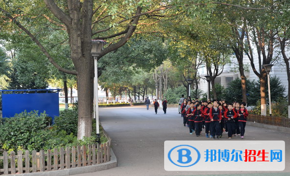 长沙麓山国际实验学校小学部2020年报名条件、招生要求、招生对象