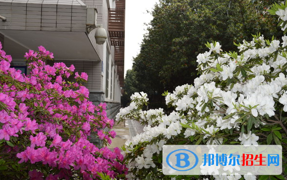 长沙麓山国际实验学校小学部地址在哪里