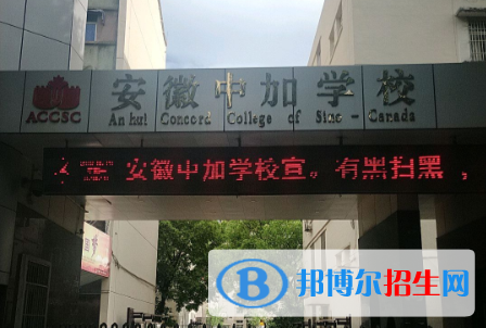 安徽中加学校小学部网站网址