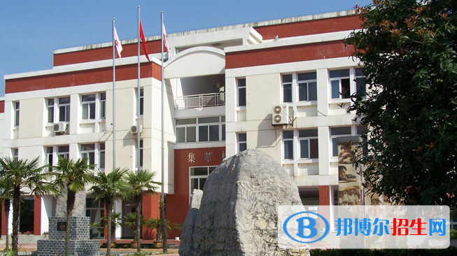合肥世界外国语学校小学部2020年报名条件、招生要求、招生对象