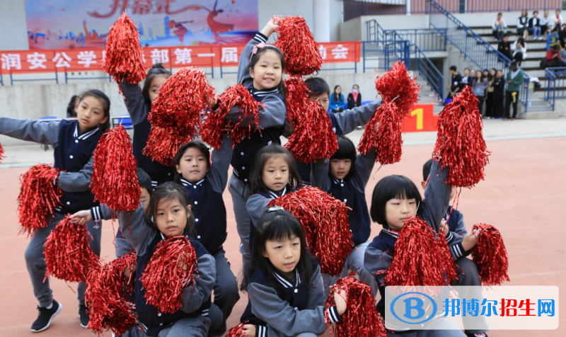 合肥润安公学小学部2020年学费、收费多少